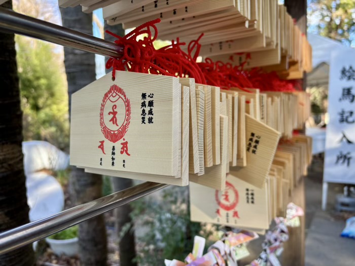 寛永寺 上野大仏 パゴダ薬師堂 絵馬