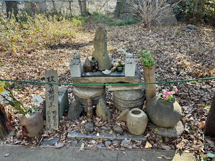 寛永寺 上野大仏 玖不動明王