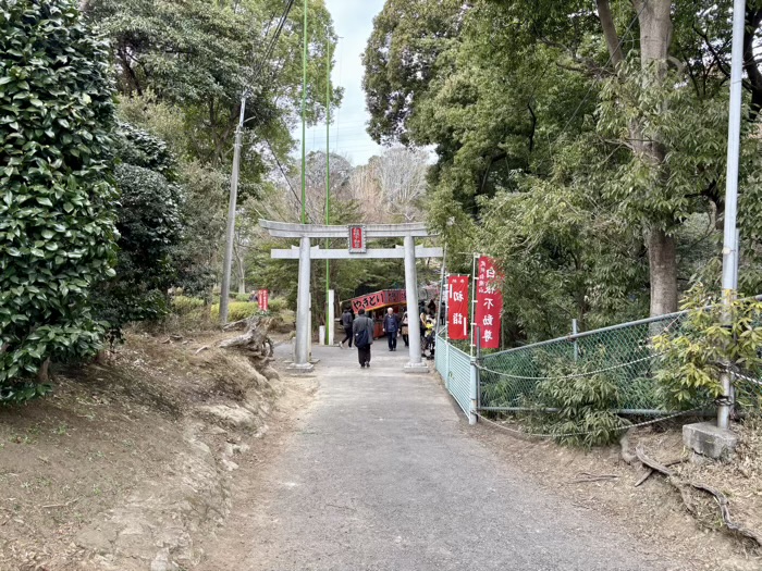 旭区　白根不動尊　開運だるま市