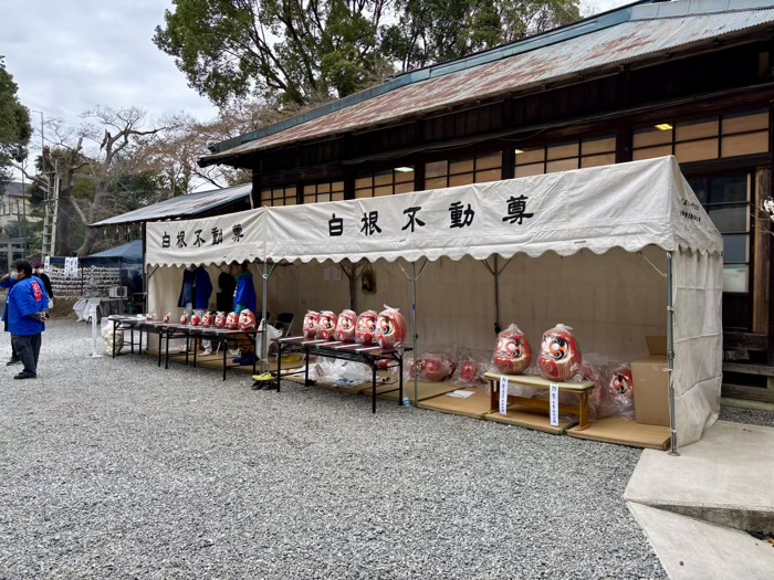 旭区　白根不動尊　開運だるま市