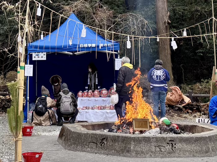 旭区　白根不動尊　開運だるま市