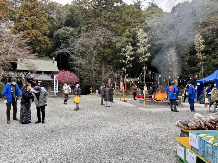 旭区　白根不動尊　開運だるま市