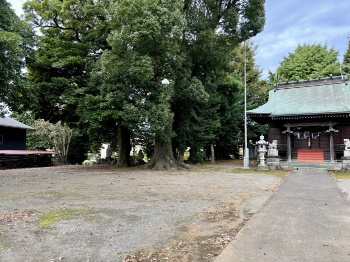 秦野　今泉神社