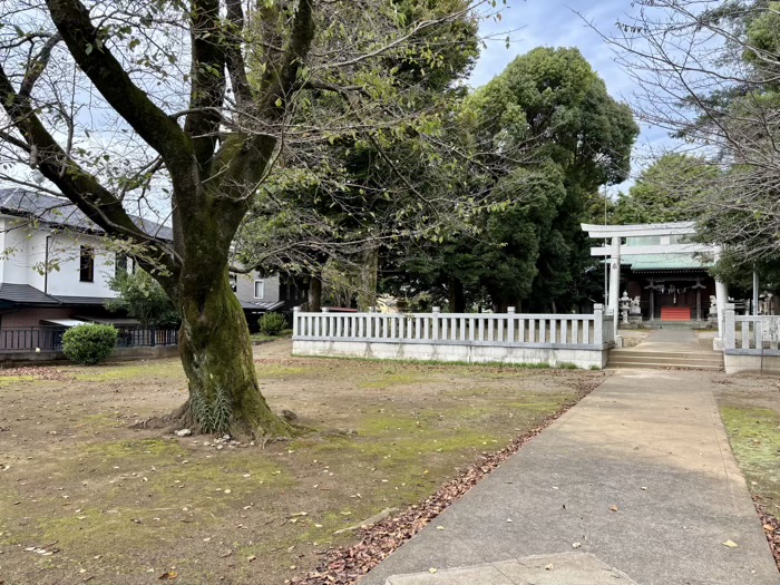 秦野　今泉神社