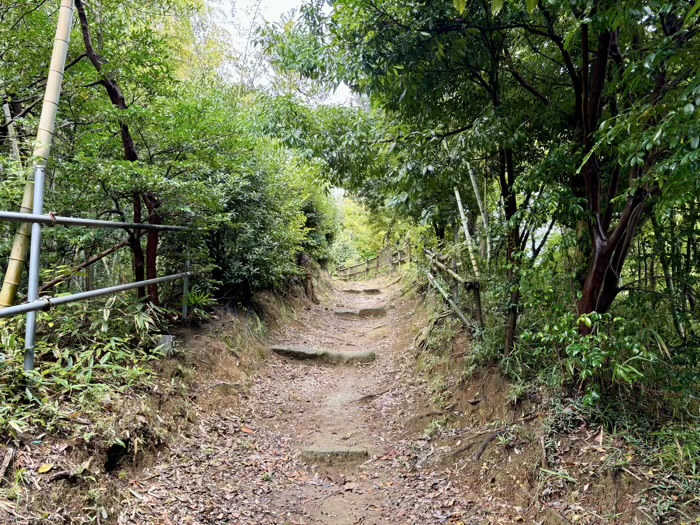 港北区 岸根杉山神社