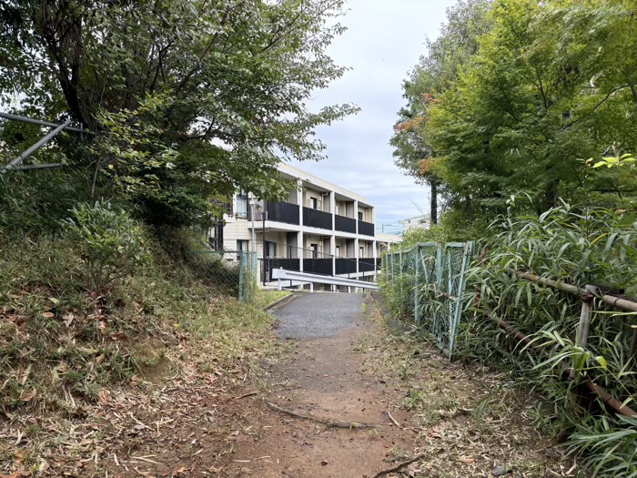港北区 岸根杉山神社