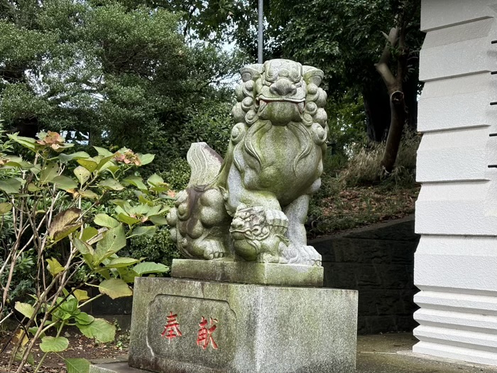港北区 岸根杉山神社