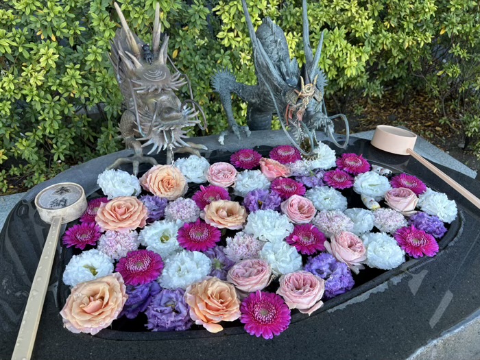 駒込　妙義神社　花手水