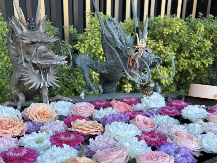 駒込　妙義神社　花手水