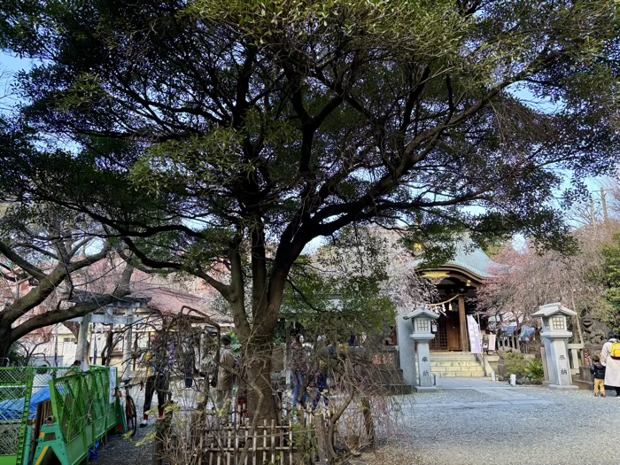 文京区 牛天神北野神社
