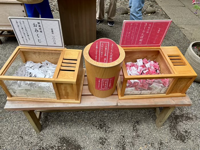 港区　赤坂氷川神社　さくらんぼ結び