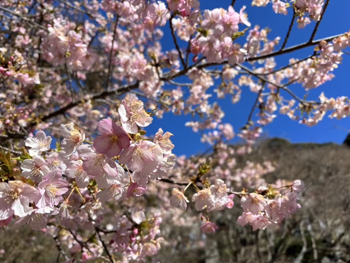 北鎌倉 建長寺 半僧坊節分会