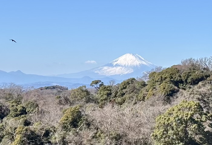 北鎌倉 建長寺 半僧坊節分会