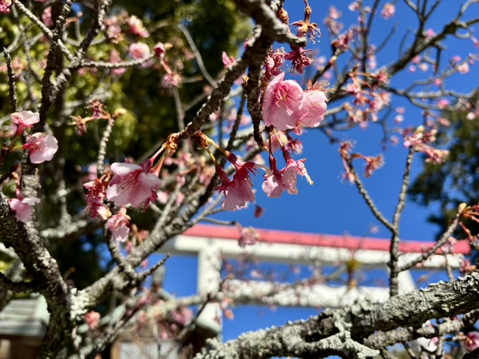 鎌倉宮　節分祭