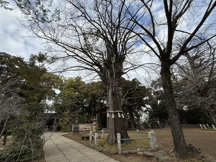 港区　赤坂氷川神社