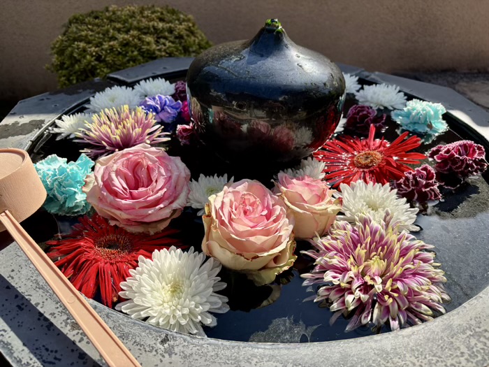 神楽坂 安養寺 洗心宝生水