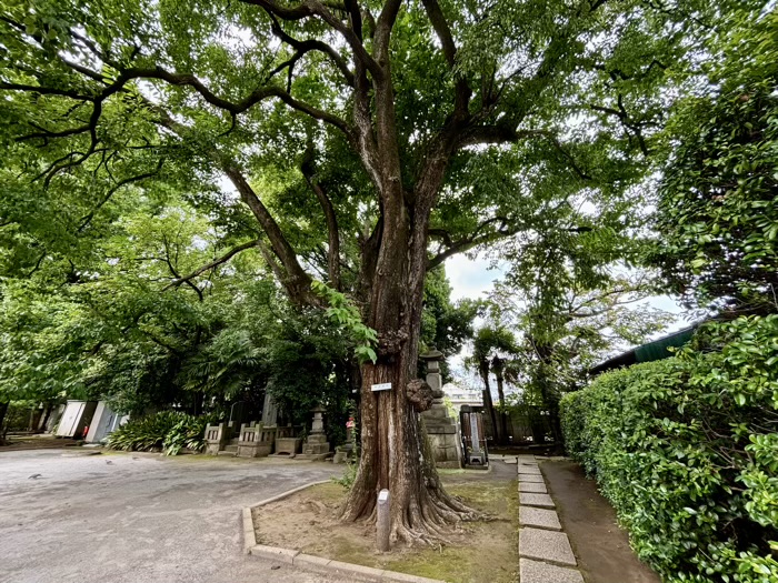 世田谷区 最勝寺 教学院