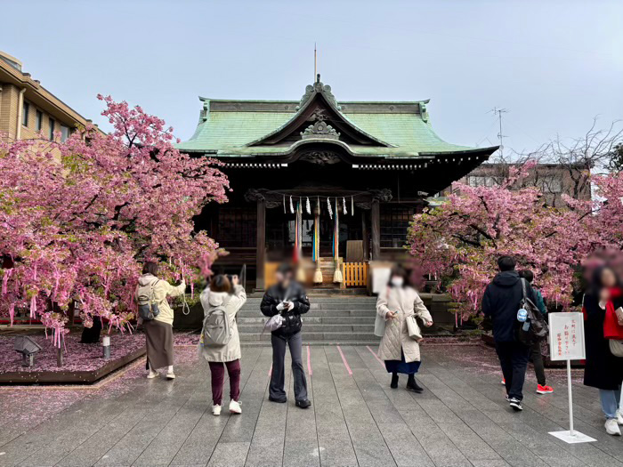 桜新町　桜神宮　混雑状況