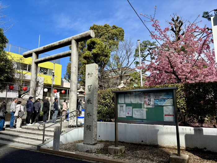 桜新町　桜神宮　桜の開花状況