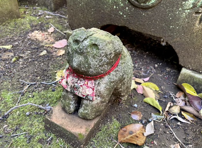 渋谷区　渋谷氷川神社　稲荷神社