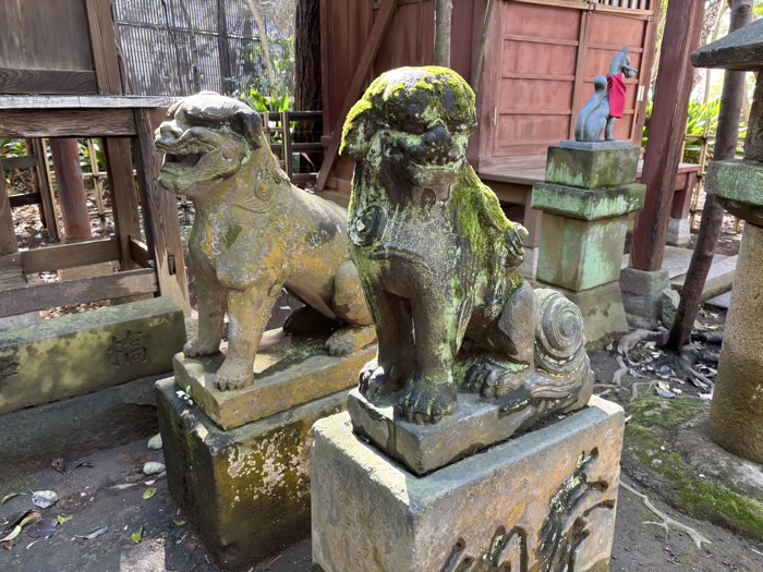渋谷区　渋谷氷川神社　厳島神社
