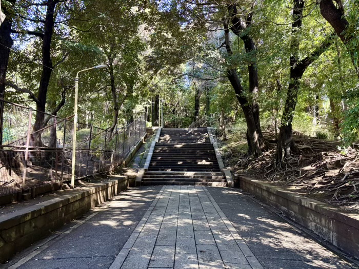 渋谷区　渋谷氷川神社
