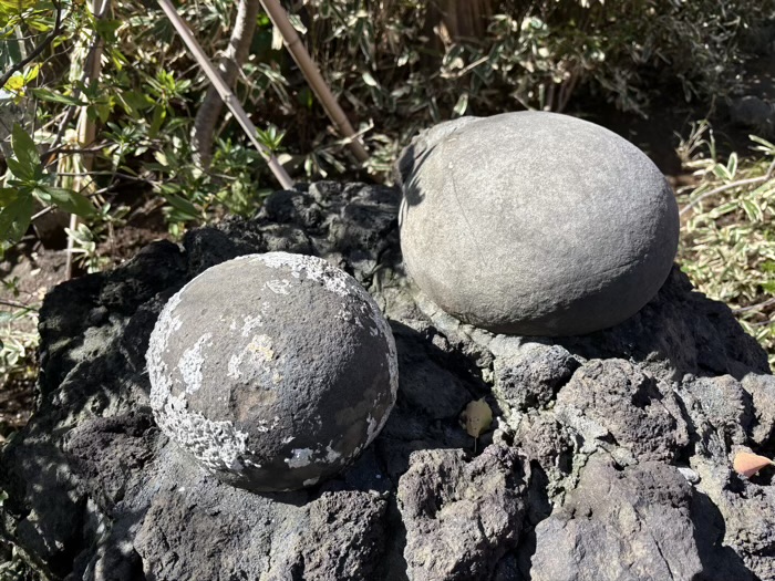田園調布 多摩川浅間神社 子産石