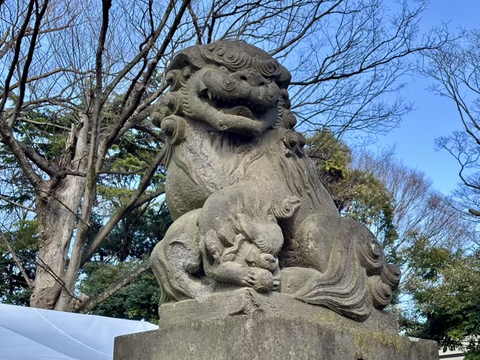 川崎市 丸子山王日枝神社