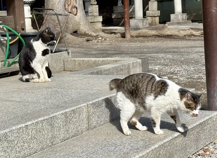 川崎市 丸子山王日枝神社