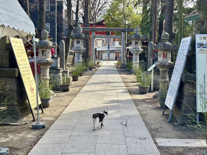 川崎市 丸子山王日枝神社