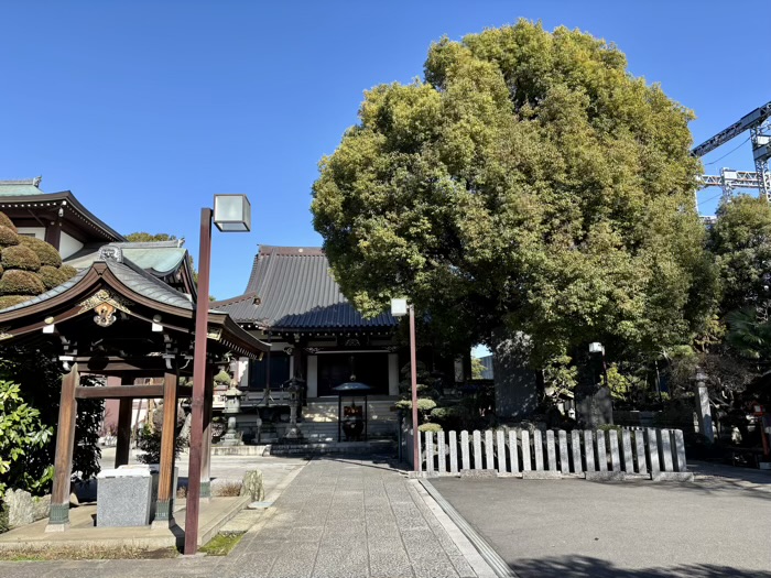 新丸子　大楽院