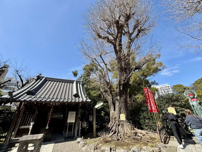 台東区　浅草寺 鎮護堂