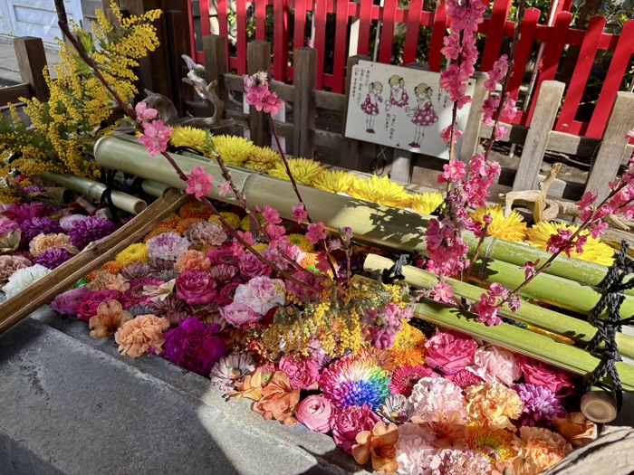 稲荷町 下谷神社 手水舎(花手水)