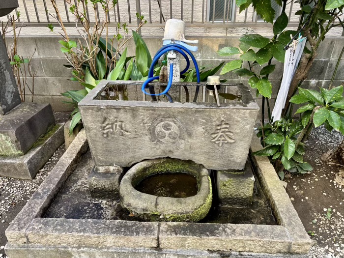 門前仲町　牡丹住吉神社