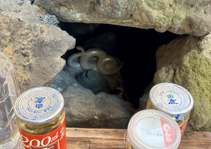 江東区　冬木弁天堂　冬木辨財天お巳洞（蛇洞）