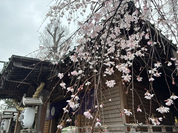 大和　深見神社　社殿