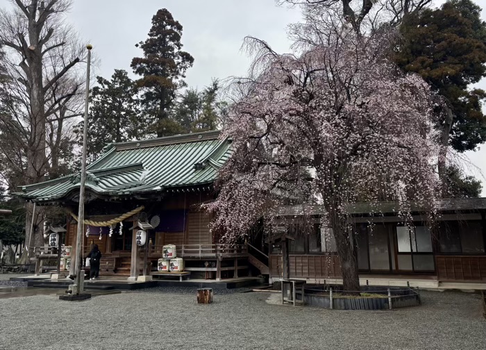 大和　深見神社　社殿