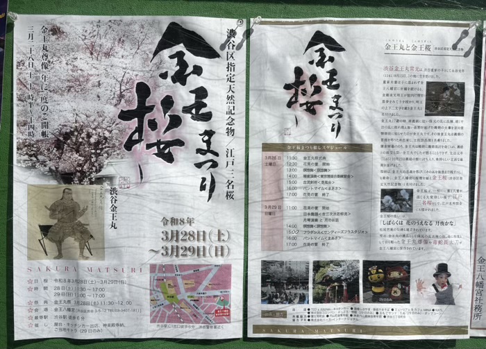 渋谷　金王八幡宮　金王丸祭＆金王桜まつり