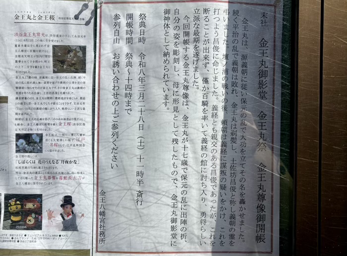 渋谷　金王八幡宮　金王丸祭＆金王桜まつり