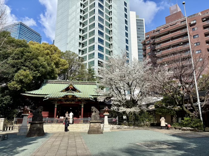 渋谷　金王八幡宮　金王桜　開花シーズン