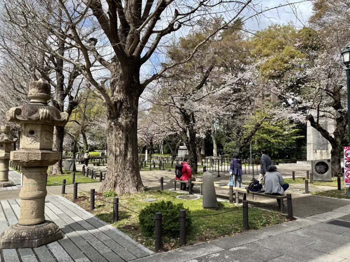 九段下 靖国神社 桜 慰霊の庭