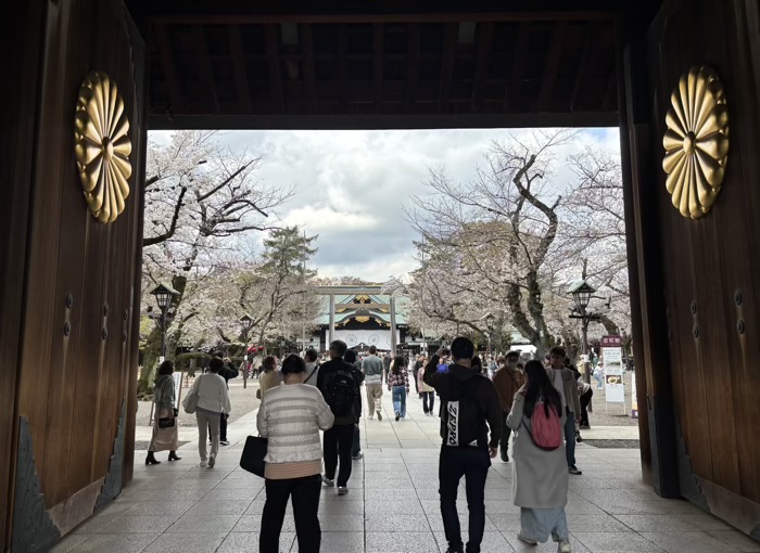 九段下 靖国神社 桜
