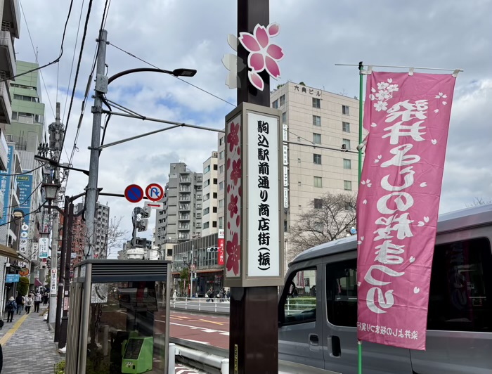駒込 染井稲荷神社 桜