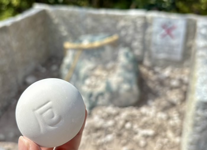 駒込 妙義神社 厄辰石