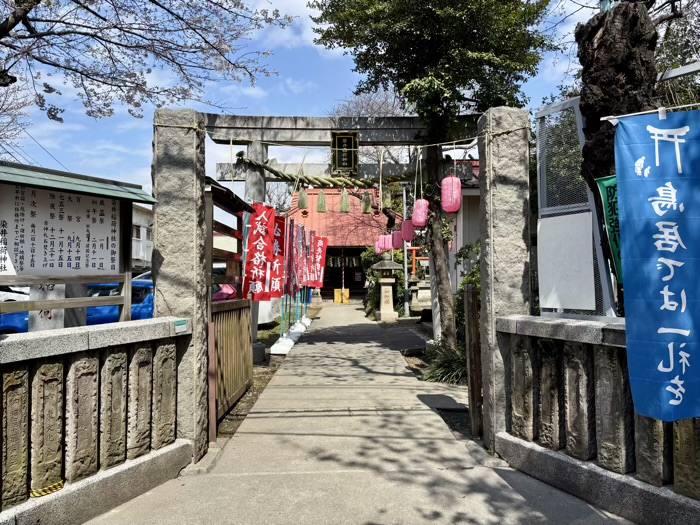 駒込 染井稲荷神社 桜