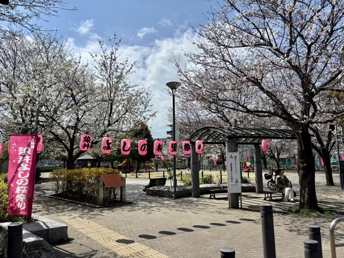 駒込 染井よしの桜の里公園 桜