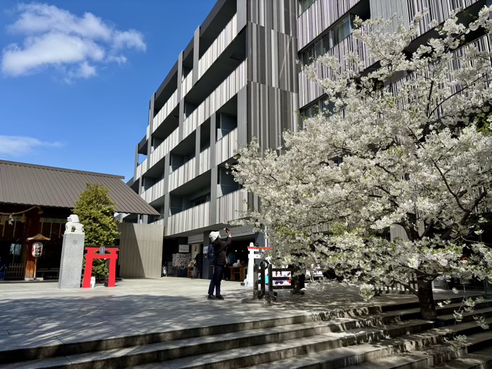 神楽坂 赤城神社 あかぎカフェ