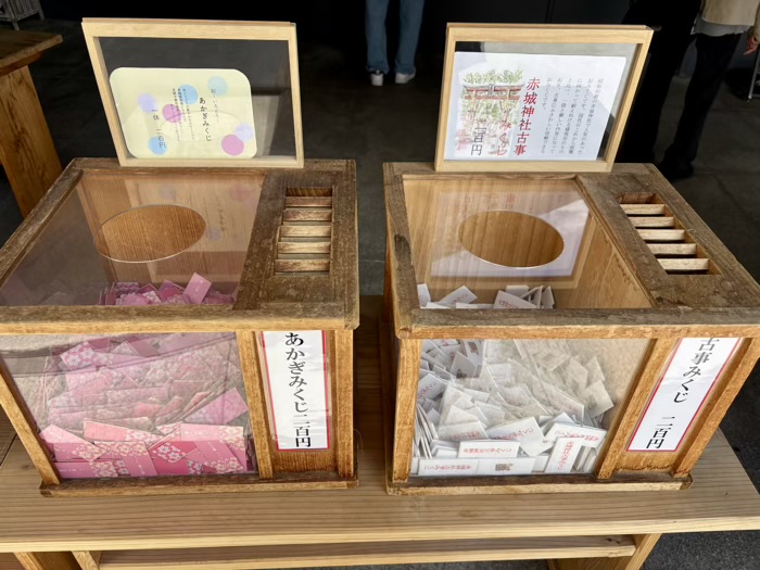 新宿神楽坂 赤城神社 おみくじ