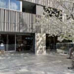 神楽坂　赤城神社　あかぎカフェ