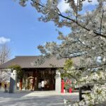 新宿神楽坂　赤城神社